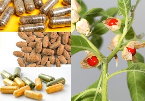 Ashwagandha capsule benefits